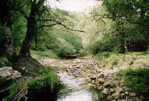 Parco Nazionale d'Abruzzo, Lazio e Molise