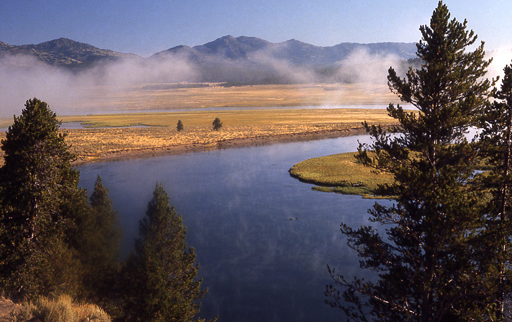 Parco nazionale di Yellowstone